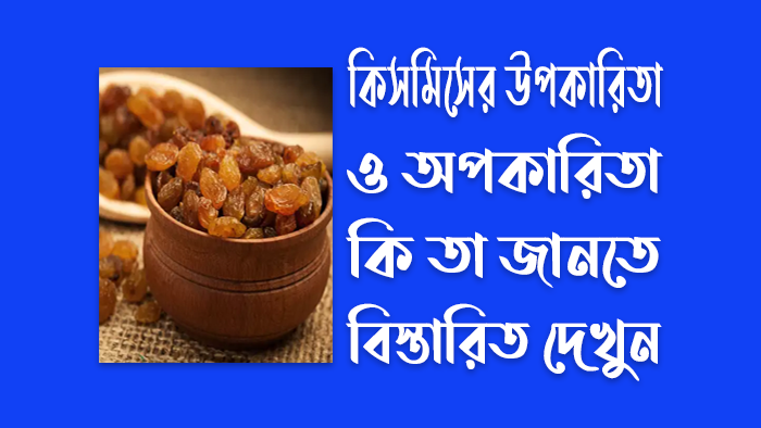 কিসমিসের অপকারিতা